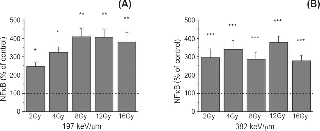 Level of the nuclear factor kappa B (NFκB) protein 48 h after irradiation with 12C ions of 197 (A) and 382 keV/μm (B), obtained by Western blot. β-Actin was used as internal loading control. Irradiation doses were from 2 to 16 Gy. Mean values obtained from three experiments are presented as percentage of control ± SD. Control value was set as 100 per cent. P*<0.05, **<0.01, ***<0.001 compared to the control.
